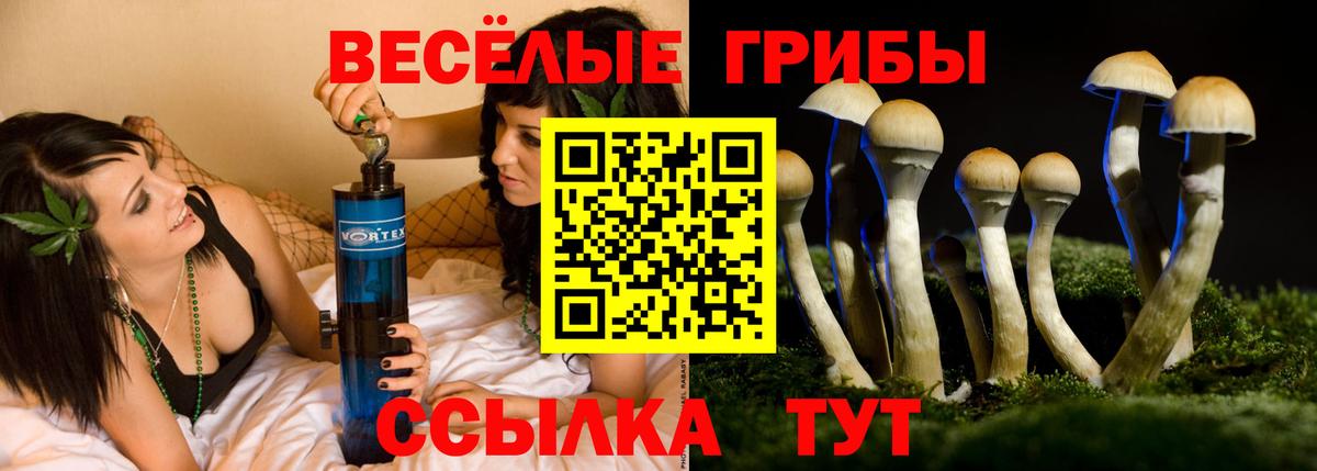 Екатеринбург  Псилоцибиновые грибы Cubensis  Вход с VPN 